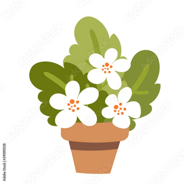 Obraz flowers in a pot