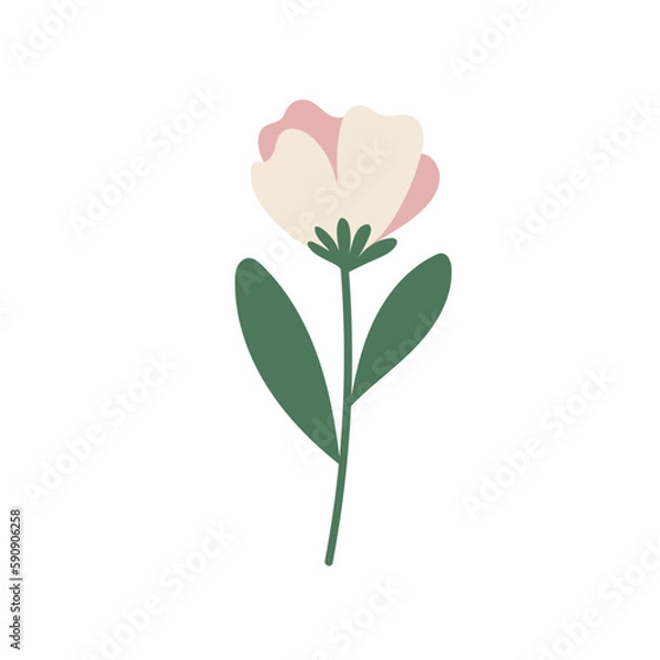 Fototapeta Flower Element