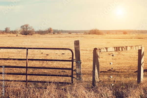 Fototapeta Pasture