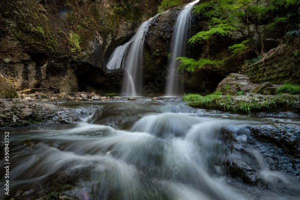 Fototapeta 茨城県大子町　新緑の月待の滝