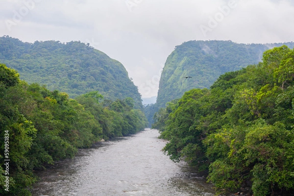 Fototapeta portales del fraguita caqueta colombia