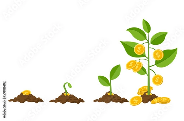 Obraz money plant growing from soil