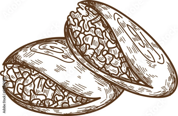 Obraz Mexican Food Doodle 