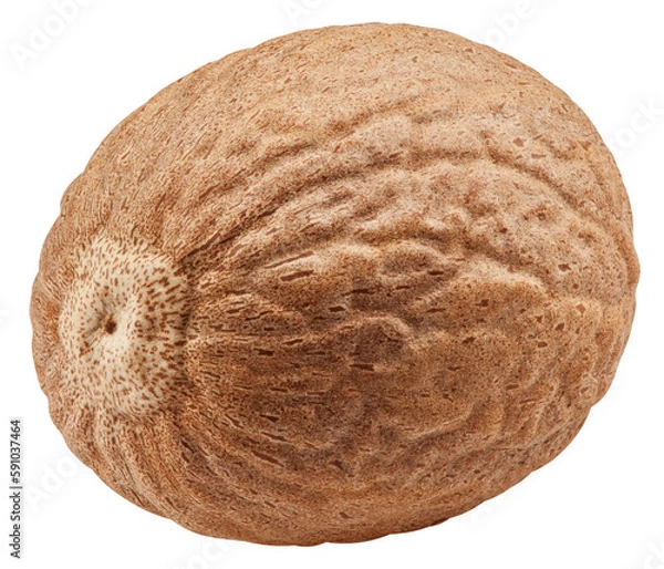 Fototapeta Nutmeg isolated on white background, clipping path, full depth of field