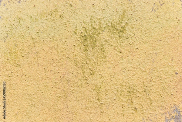 Fototapeta Colored wall background and texture