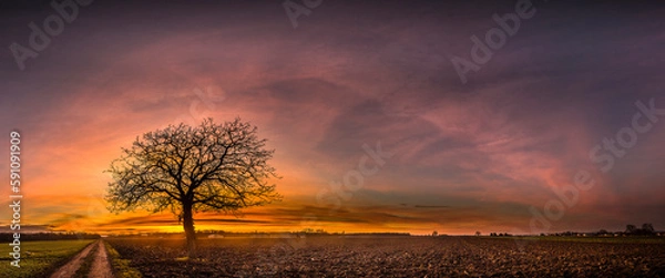 Obraz lumière matinale