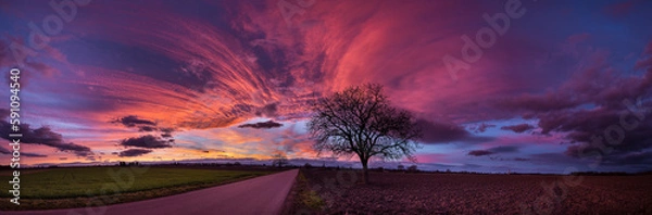 Obraz Soleil couchant