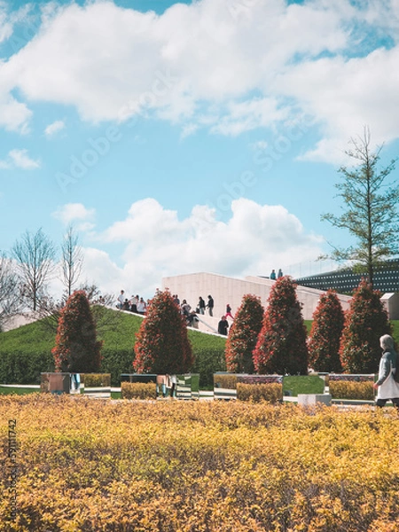 Fototapeta spring in the park