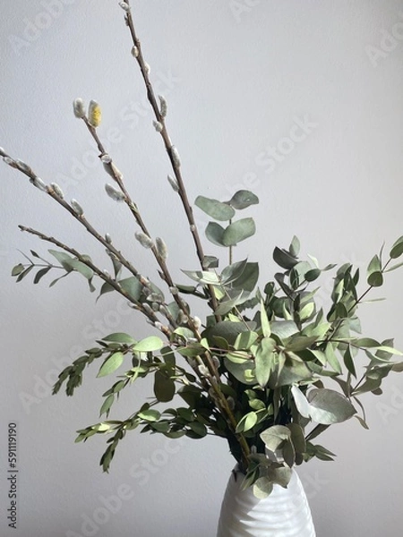 Fototapeta A bouquet of green eucalyptus and pistachio branches with willow branches in a white vase on a chest of drawers. Natural elements of spring