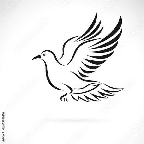 Fototapeta Vector of a pigeons are flying on white background. Easy editable layered vector illustration. Birds. Animals.