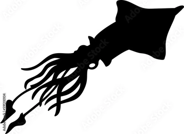 Obraz squid vector silhouette black one