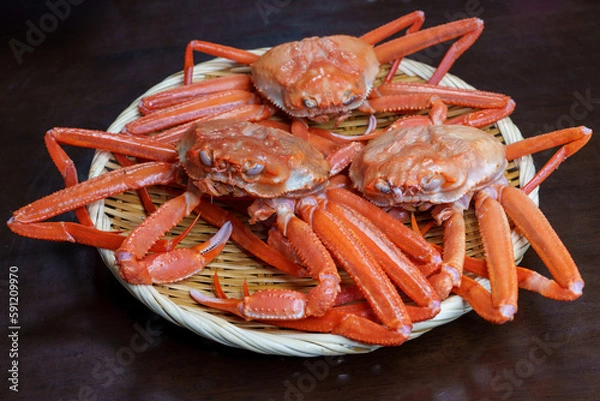 Obraz ザルに盛られた紅ズワイガニ