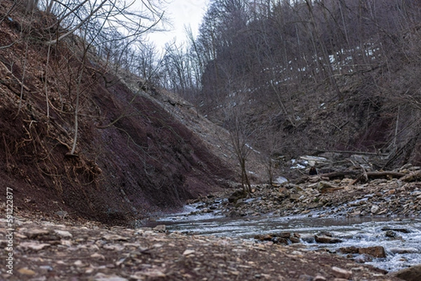 Obraz river in the mountains