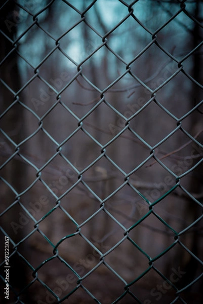 Obraz fence with background