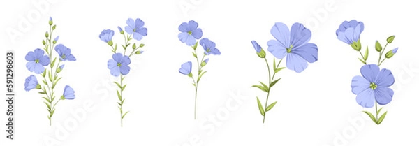 Obraz Set of differents flower linen on white background. 