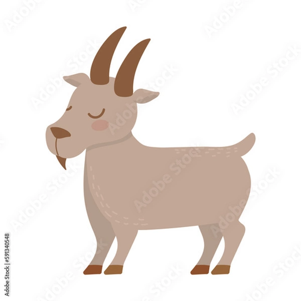Obraz goat farm animal