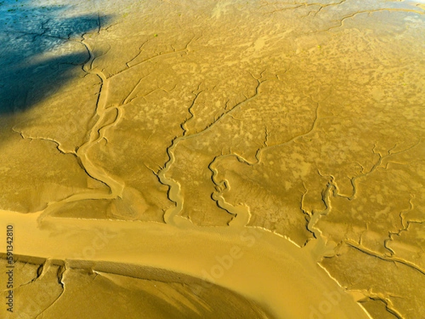 Obraz Elks Run in Dafeng Elk National Nature Reserve in Yancheng
