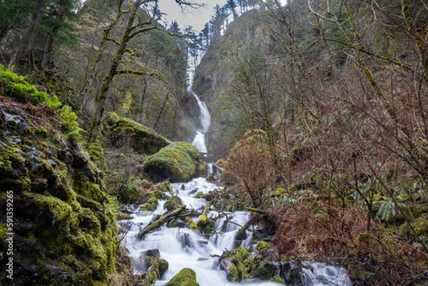 Obraz waterfall in the forest