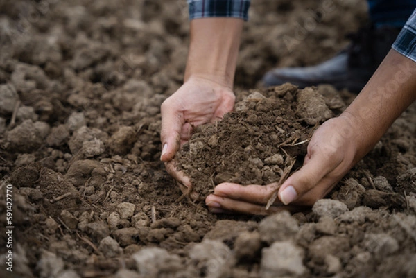 Fototapeta 2. Soil in the hands of farmers. Concept of agriculture.