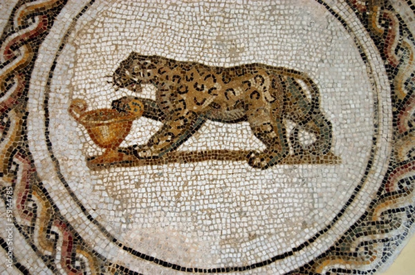 Obraz The Mosaics of Tunisia - El Jem - Tunisia