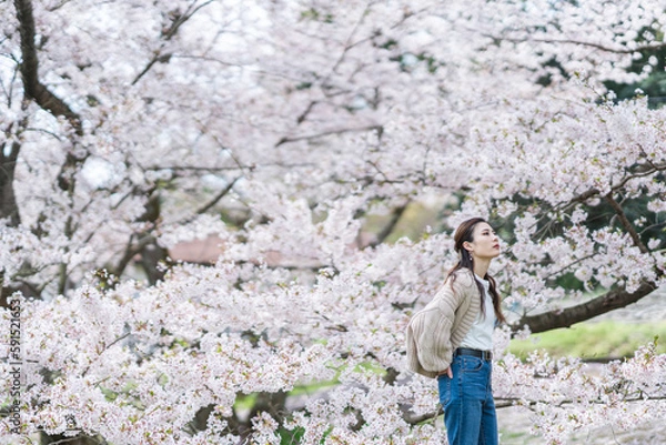 Fototapeta 桜の花と女性