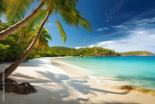 Fototapeta beach with swaying palm trees and crystal-clear blue waters