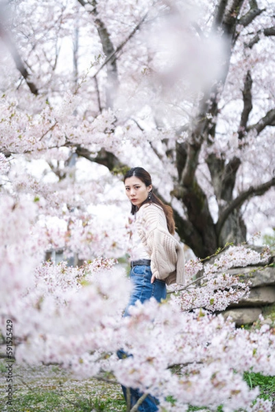 Fototapeta 桜の花と女性