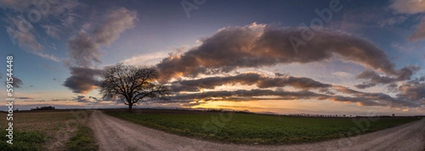 Obraz Plaine d'Alsace