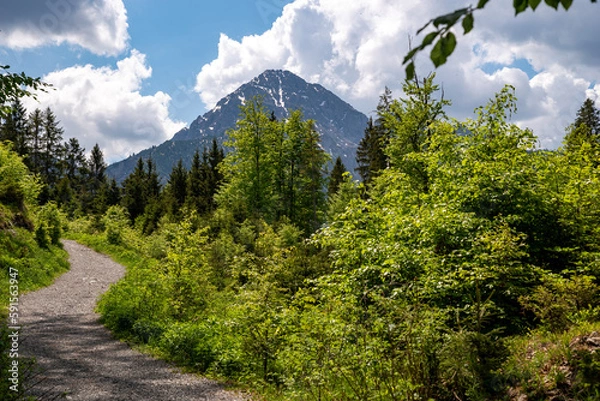 Obraz Path through the forest with view to the Thaneller mountain on a sunny day, Rette, Austria