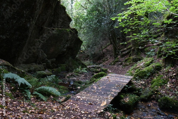 Obraz petit pont 
