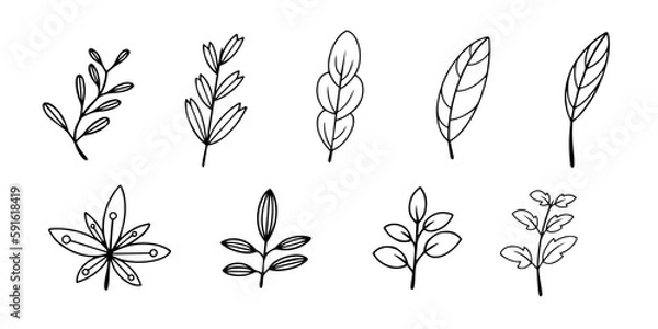 Fototapeta Decorative set of beautiful plants or branches with leaves for your creative designs