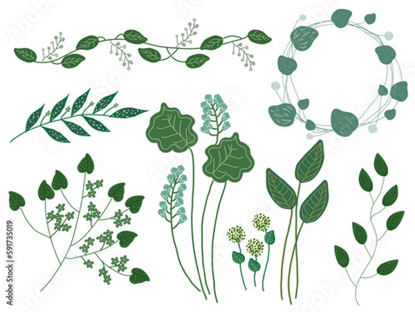 Obraz 深みグリーン 葉 植物 イラスト セット