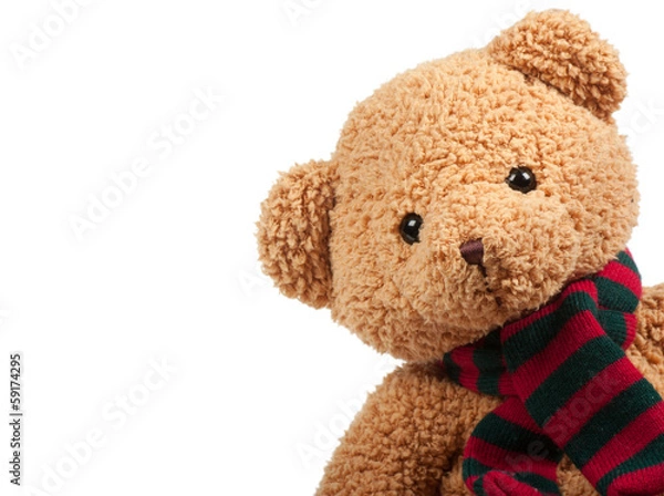 Obraz Teddy bear