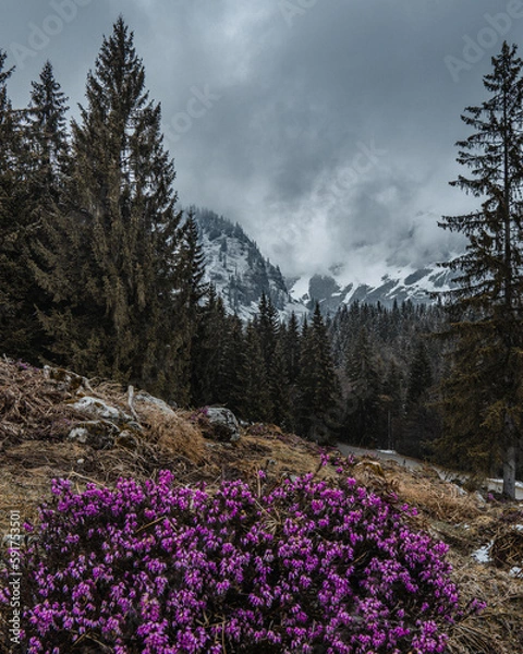Fototapeta Berglandschaft 