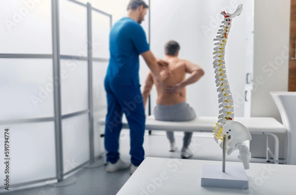 Fototapeta Anatomical model of spine on table in manual therapist's office. Adult man patient during spinal exam by physiotherapist on background, soft focus
