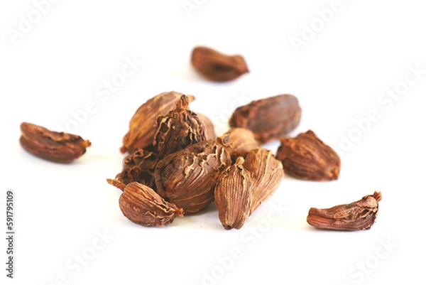 Obraz Black Cardamom