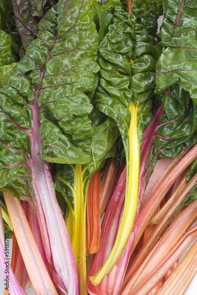 Fototapeta mangoldblätter