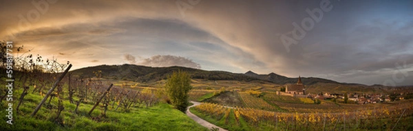 Obraz sunset over the vineyards