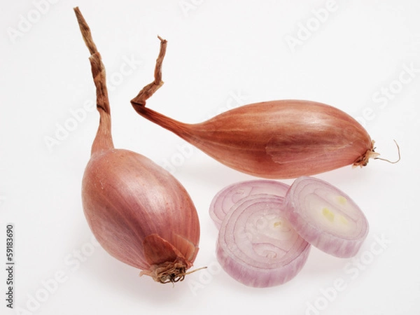 Obraz échalottes