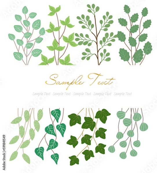 Obraz 木と蔓の飾り枠 ボタニカル 植物 フレーム