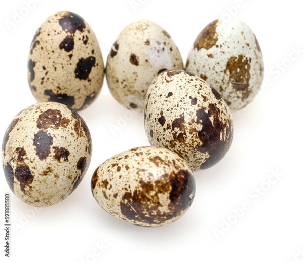 Obraz quail eggs on a white background