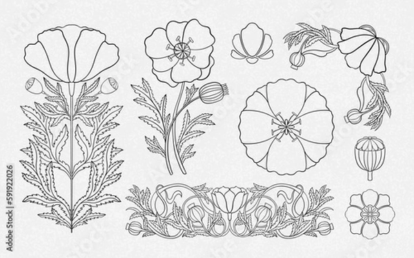 Fototapeta Floral poppy plant in art nouveau 1920-1930. Hand drawn in a linear style with weaves of lines, leaves and flowers.