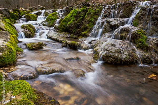 Obraz waterfall in the forest