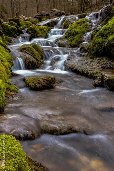 Obraz waterfall in the forest