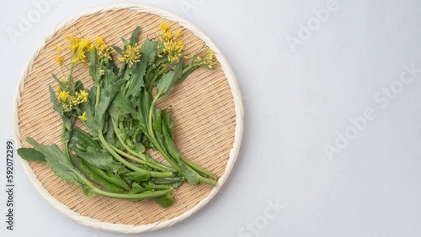 Fototapeta ザルに乗せた菜の花