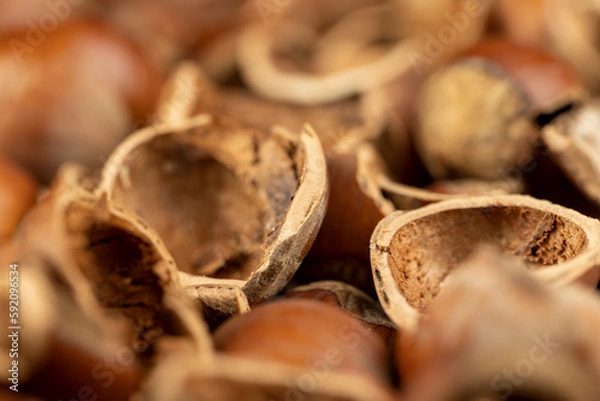 Obraz debris left after peeling the hazelnuts from the shell