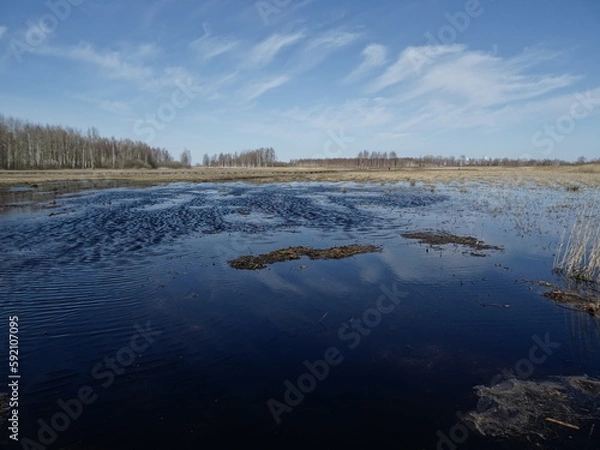 Obraz landscape with lake