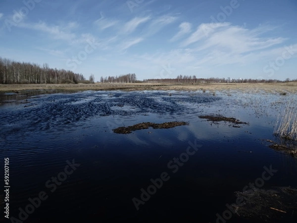Obraz landscape with lake