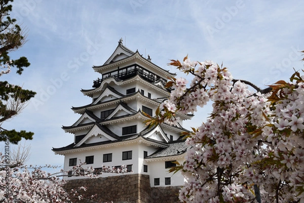 Fototapeta 桜越しに見る福山城