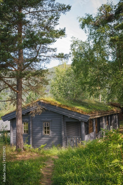 Obraz Typical norwegian house with grass on the roof